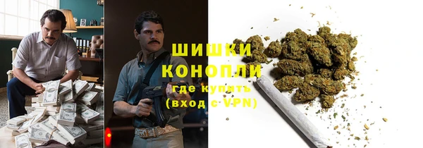 гидра Покачи