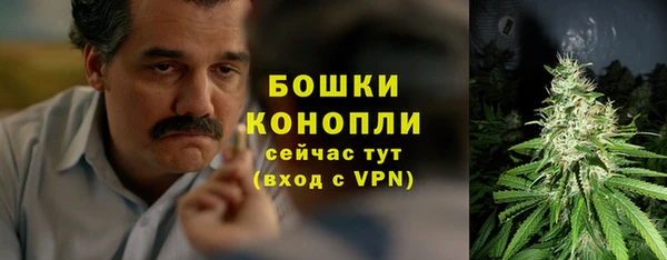 ALPHA PVP Дмитриев