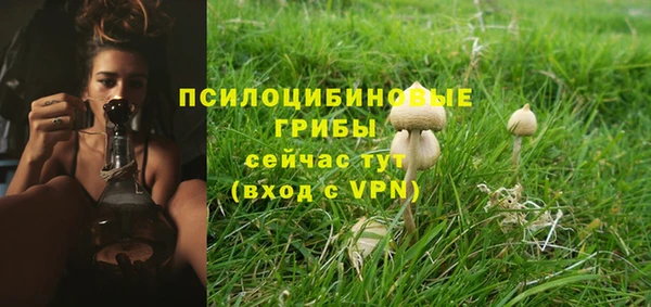 альфа пвп Протвино