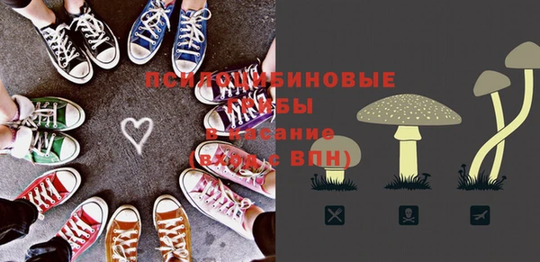 гашишное масло Дмитровск