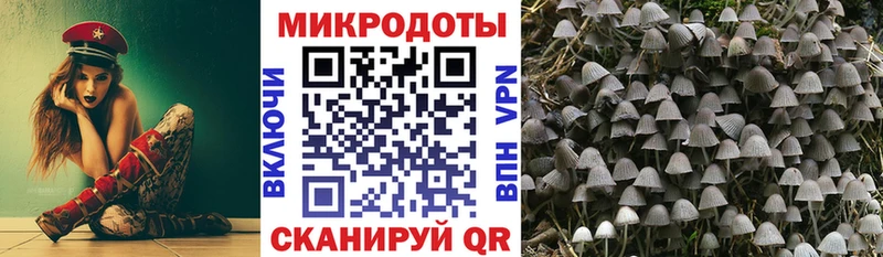 продажа наркотиков  блэк спрут tor  Галлюциногенные грибы Psilocybine cubensis  Свободный 