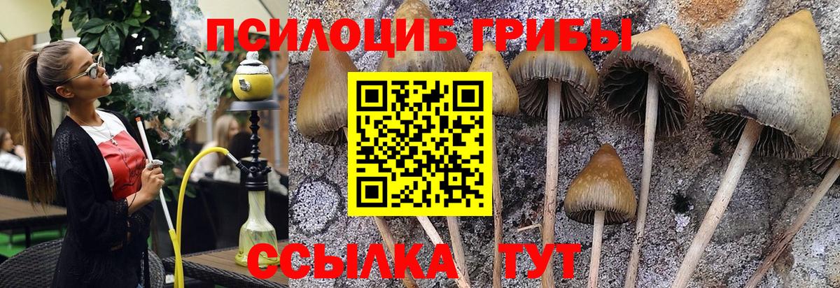 Галлюциногенные грибы мухоморы Свободный
